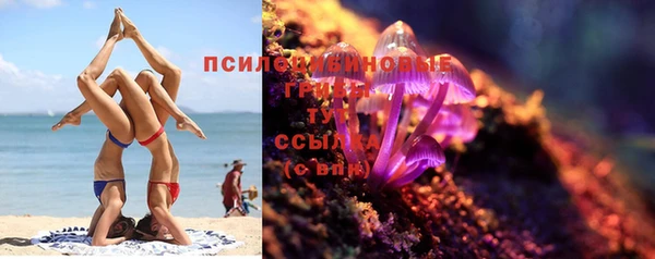 амф Бородино