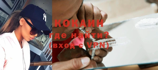 амф Бородино