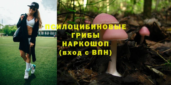 гашик Бронницы
