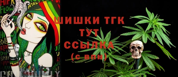 амф Бородино