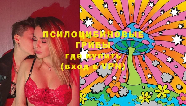 амф Бородино