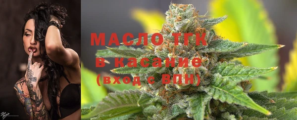 амф Бородино